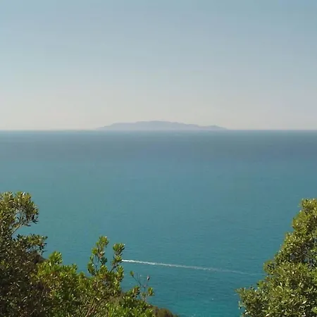 Shasa فيلة تالاموني